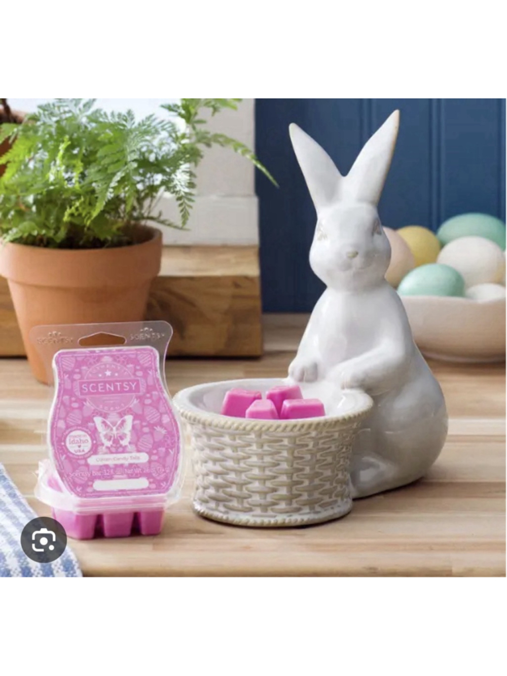 Happy Hare Scentsy Warmer (limited Edition), Brand New